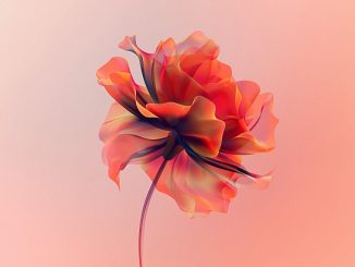 Jason Jenkins Quartet